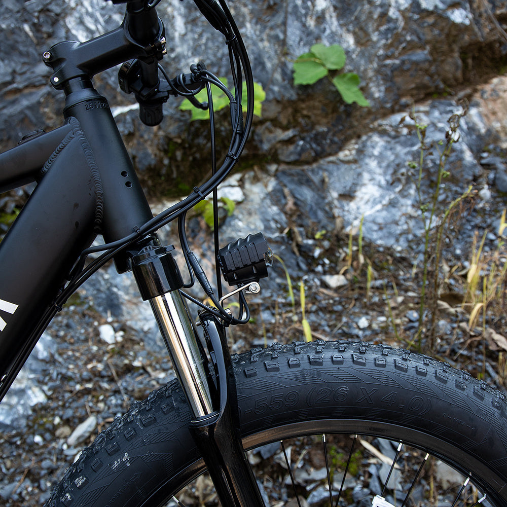 Professional Electric Mountain Bike 1000W - 26" Fat Tire E-Bike - CheepSweepz
