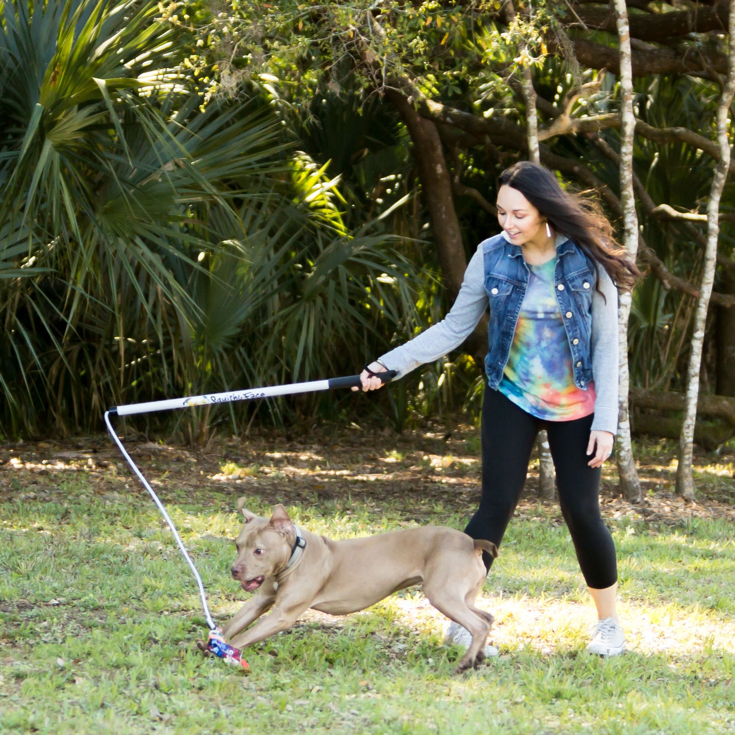 Squishy Face Studio Flirt Pole V2 Dog Exercise & Training Toy - CheepSweepz