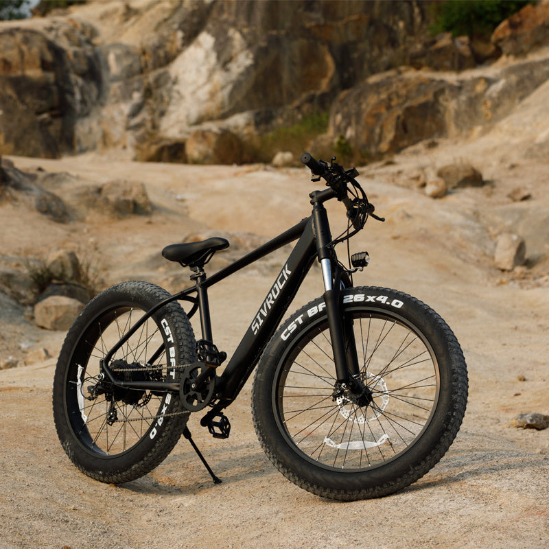 Professional Electric Mountain Bike 1000W - 26" Fat Tire E-Bike - CheepSweepz
