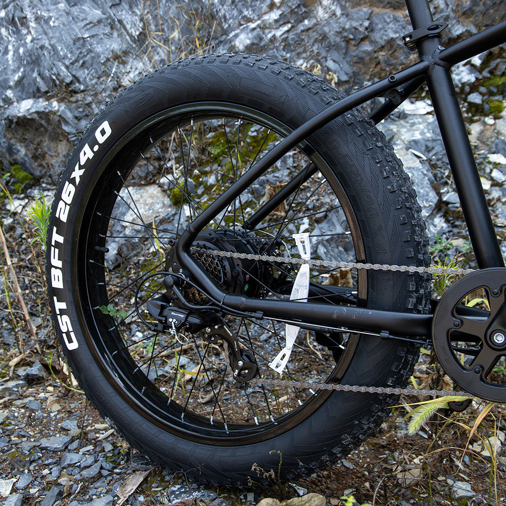 Professional Electric Mountain Bike 1000W - 26" Fat Tire E-Bike - CheepSweepz