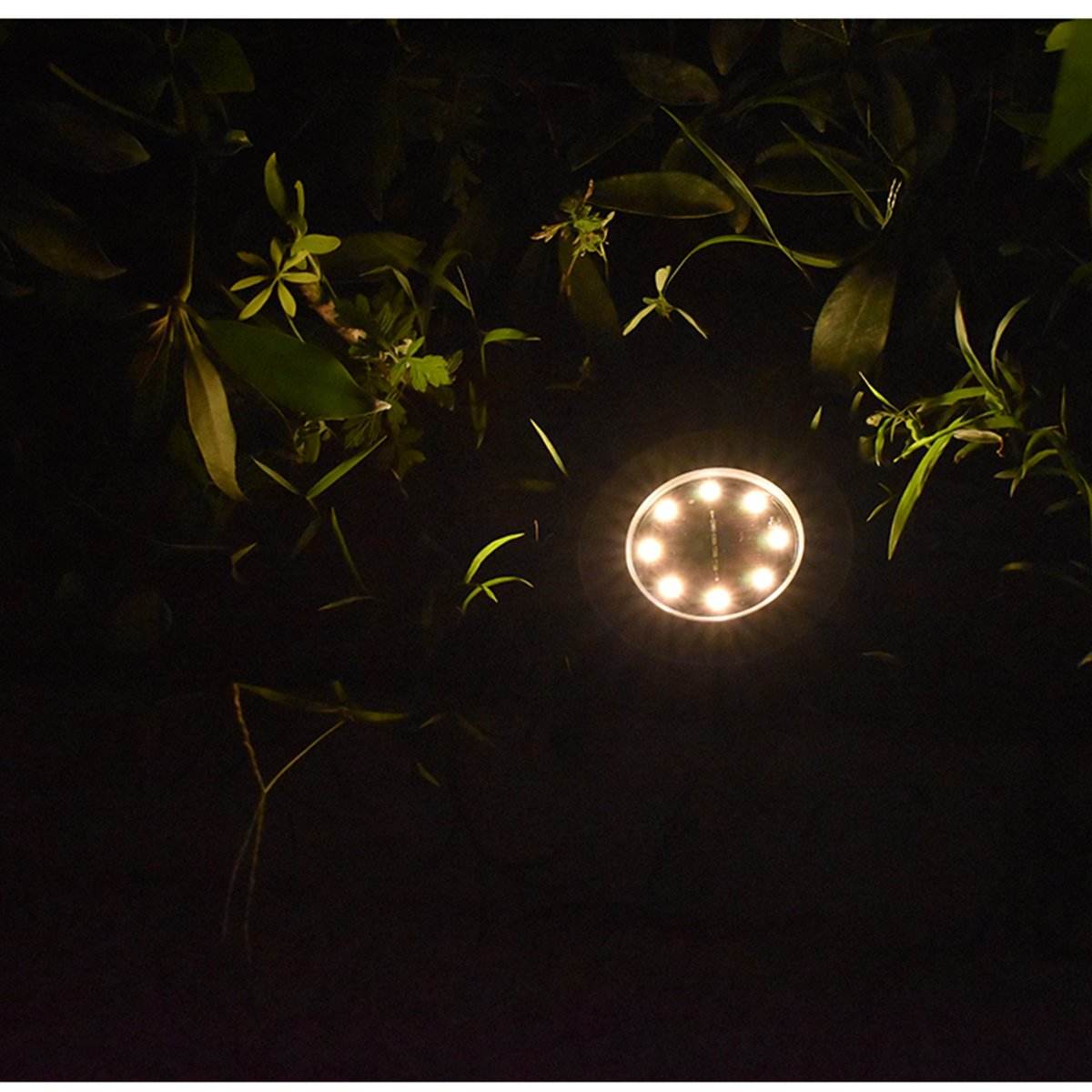 Pink Iolaus solar powered garden pathway lights illuminating outdoor plants at night
