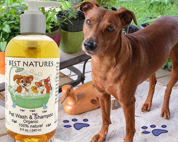 Organic Pet Wash and Shampoo for our Furry Friends - CheepSweepz